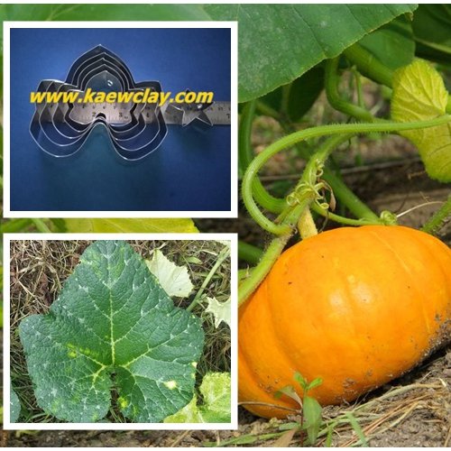 พิมพ์ตัดใบฟักทอง (Mold cutter Pumpkin Leaf)