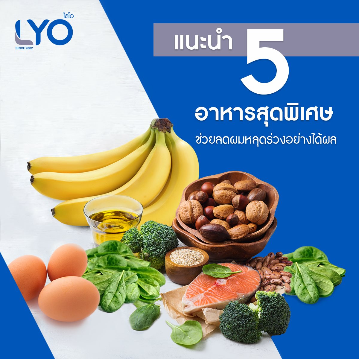 Lyo Thailand อาหาร5อย่างที่ช่วยลดผมหลุดร่วง