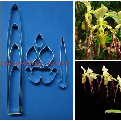 พิมพ์ตัดอก+ใบรองเท้านารี หนวดฤาษี ( Aluminum mold cutter Paphiopedilum parishii)