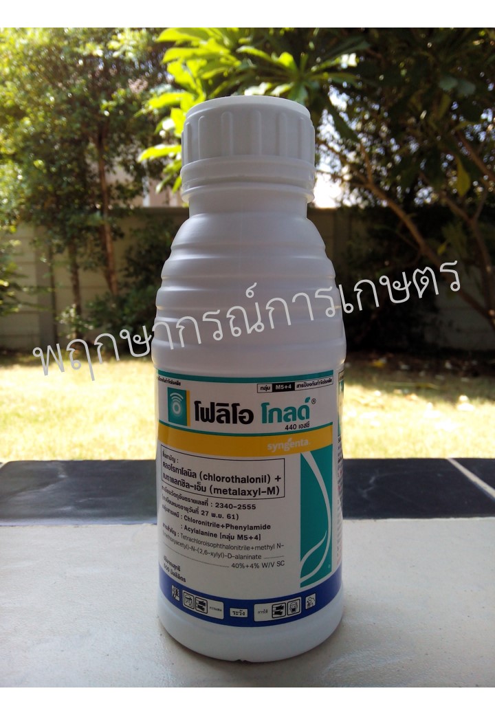 โฟลิโอ โกลด์ 440เอสซี