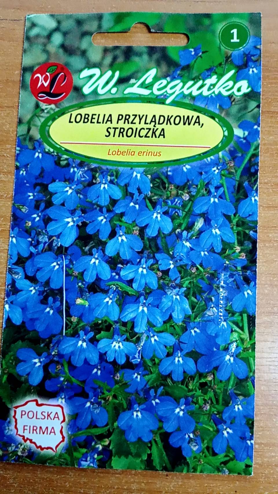 โลบีเลียเลื้อย สีน้ำเงิน (Blue edging lobelia) / 6,400 เม็ด (Poland)*