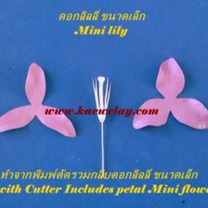 พิมพ์ตัดอลูมิเนียมดอก+ใบลิลลี่จิ๋วรวมกลีบ(Aluminum mold cutter Mini Lily included petals)