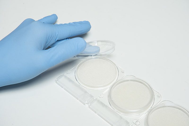 ชุดทดสอบบาซิลลัส ซีเรียสในภาชนะสัมผัสอาหารและมือ/Swab B.cereus (Compact Dry BC)