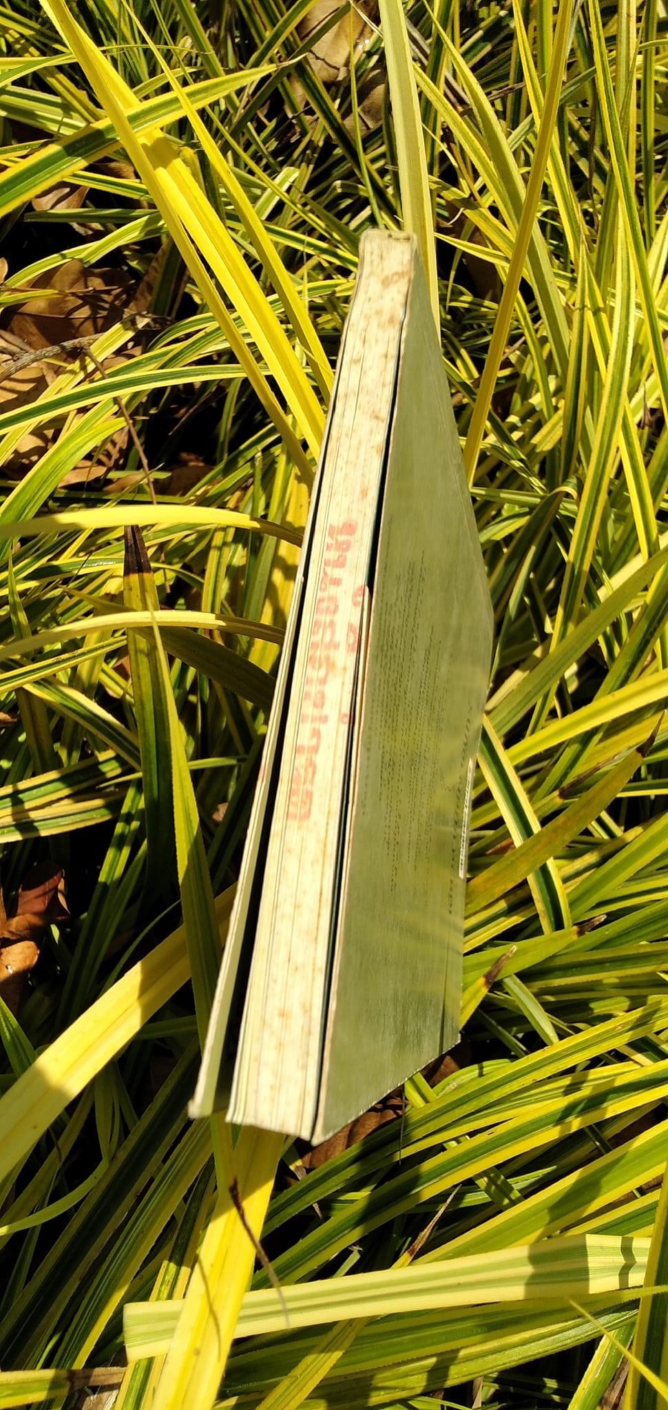 เดียวดายใต้เงาจันทร์ โก้วเล้ง รำพัน