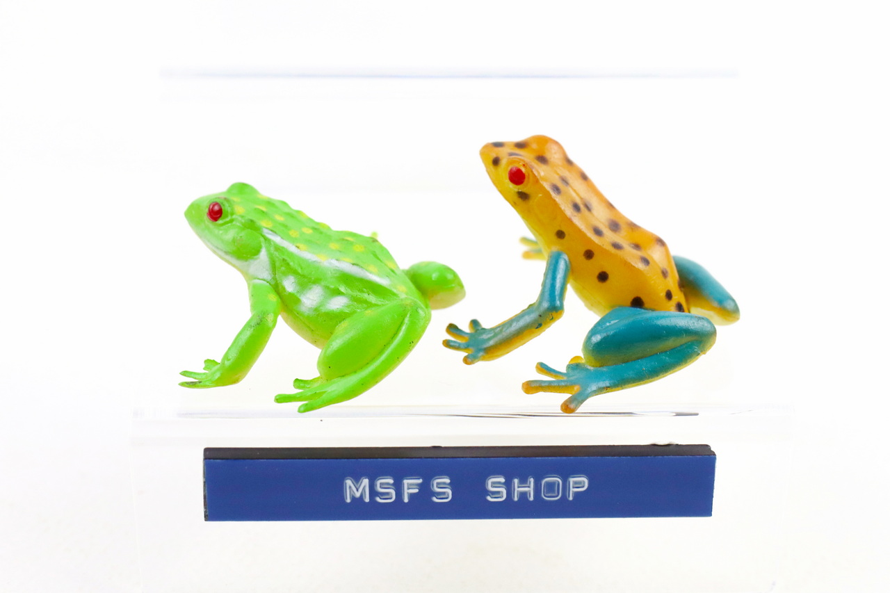 [มือสอง] ตู๊กตากบ Tree Frog กับ Bull Frog