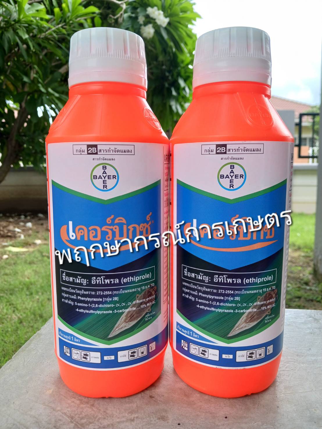 เคอร์บิกซ์