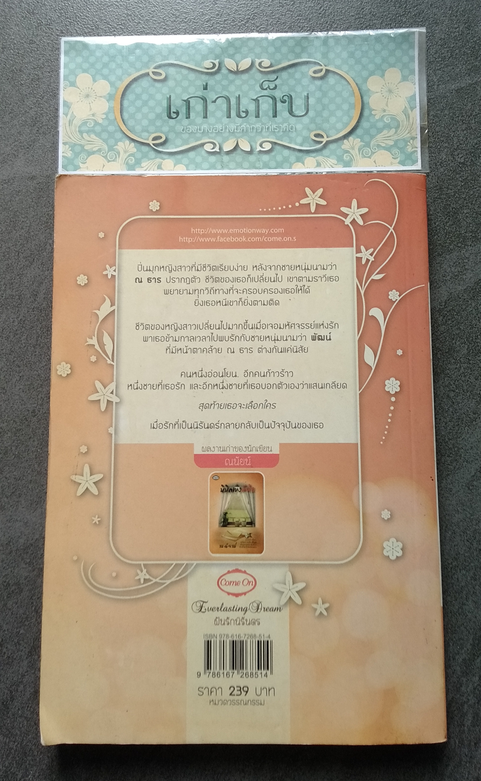 ฝันรักนิรันดร โดย ณนัยน์