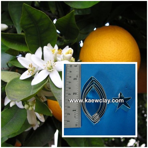 พิมพ์อลูมิเนียมตัดใบส้ม(Aluminum mold cutter Orange leaves. ) สำเนา