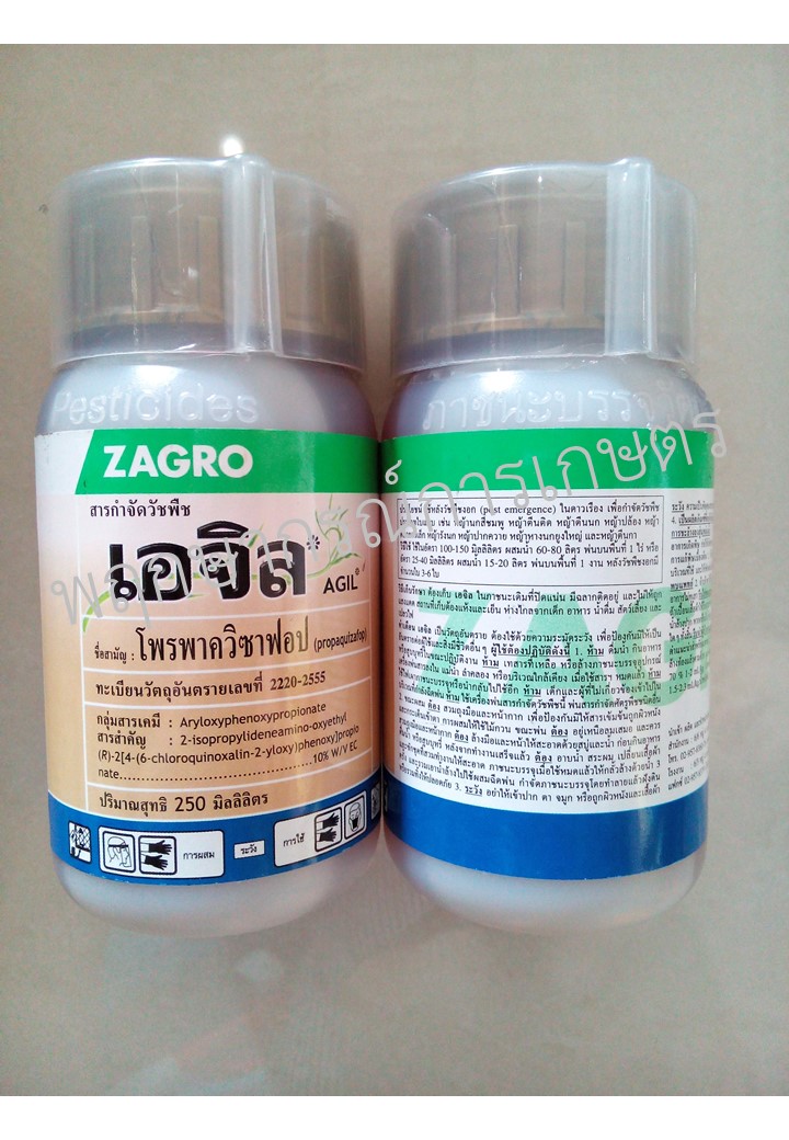 เอจิล