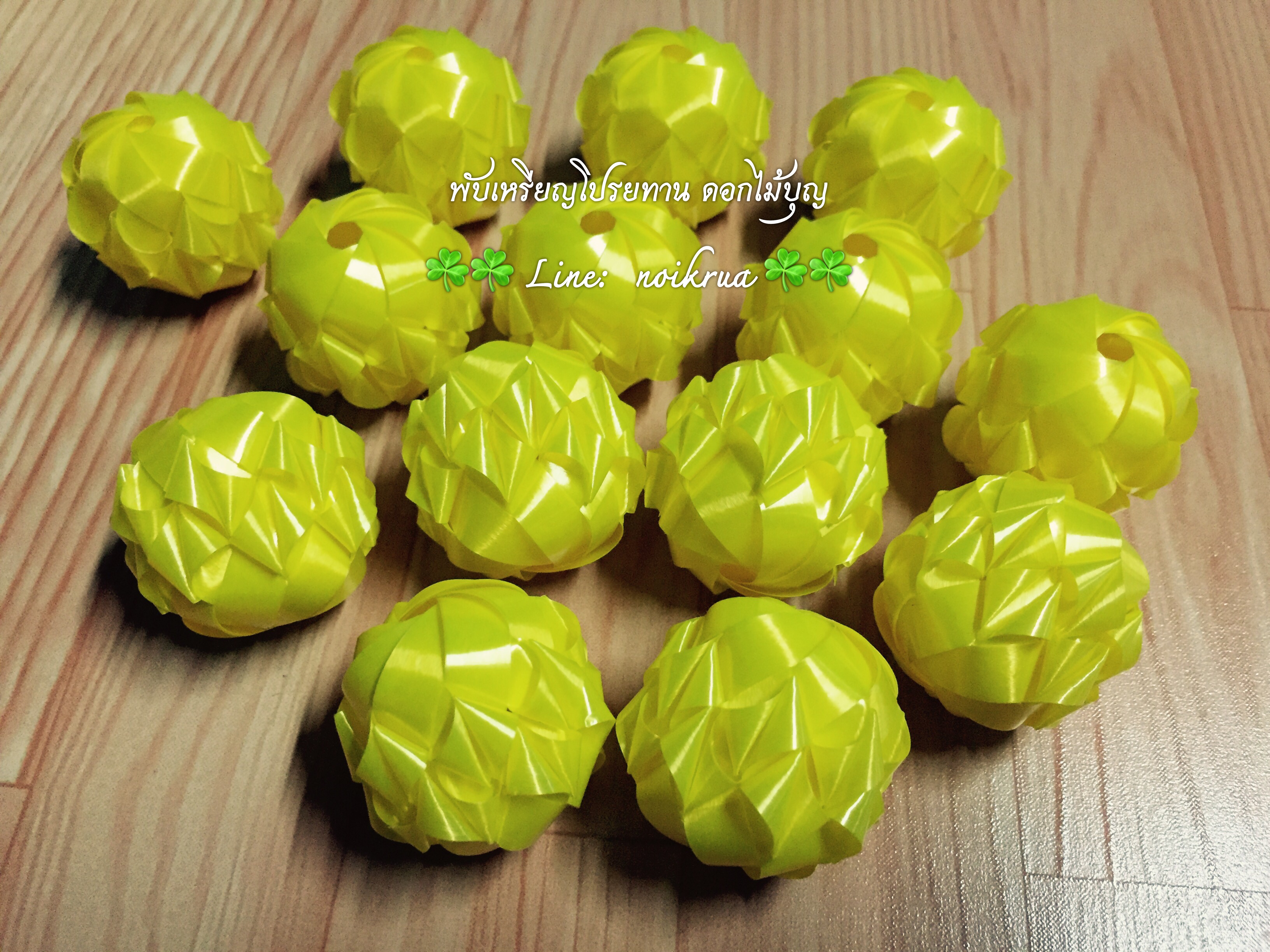 สับปะรดภูแล (ตัวเปล่า)