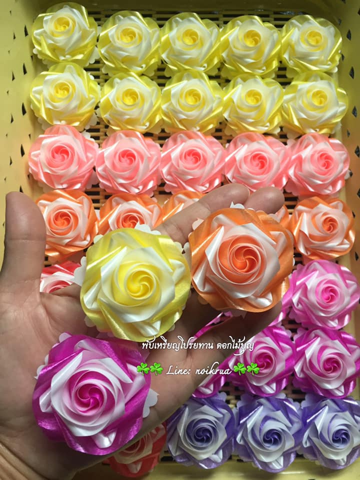 ดอกฟรีเซียสลับสี เหรียญโปรยทาน