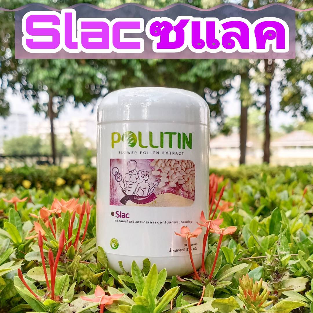 Slac ซแลค มีไคโตซาน สารสกัดอบเชย ช่วยดักจับไขมันใหม่ เผาผลายไขมันเก่าให้เป็นพลังงาน ลดคลอเลสเตอรอล ลดน้ำตาลในเลือด