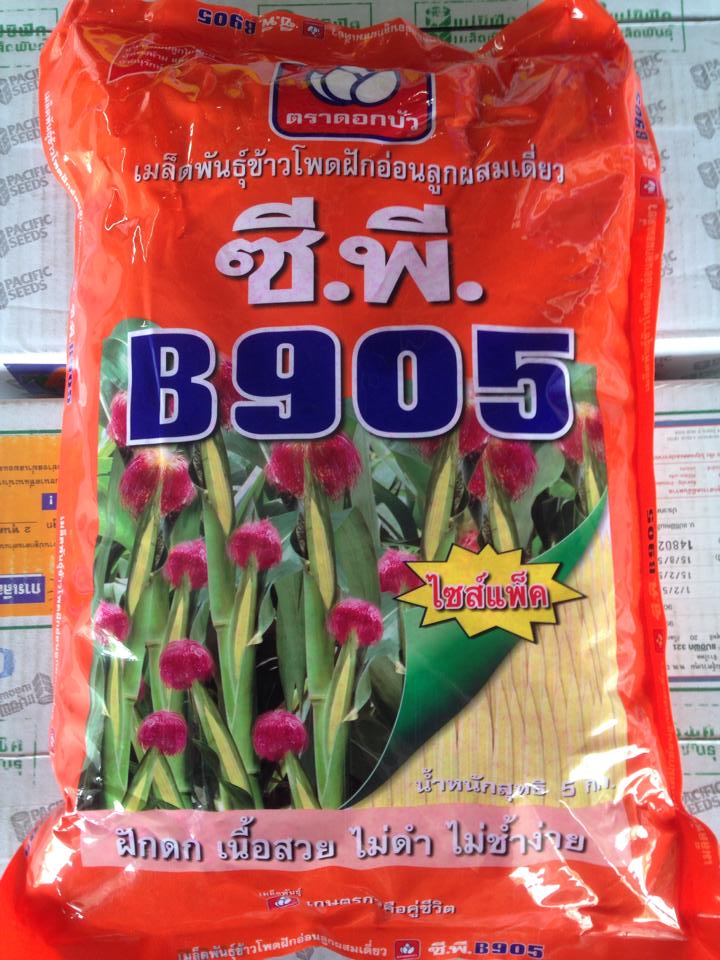 ดอกบัว ซีพี B.905