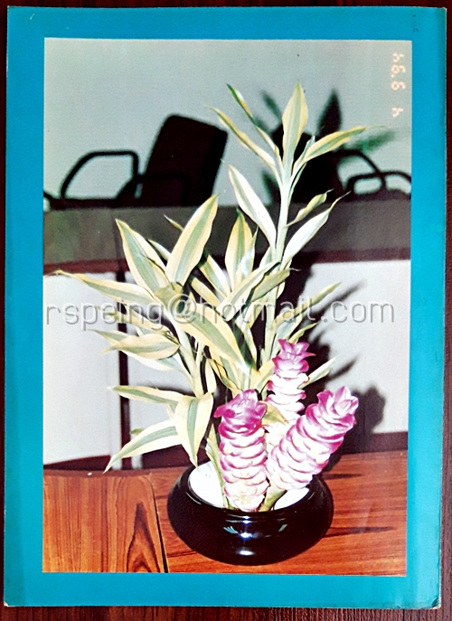 วารสาร ส.น.ญ.ตุลาคม - ธันวาคม 2537