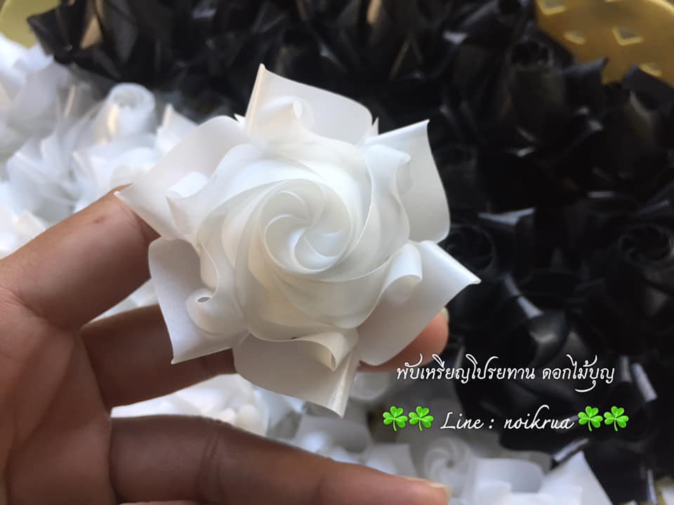 บัวปทุมมามินิสีขาวสีดำ เหรียญโปรยทาน