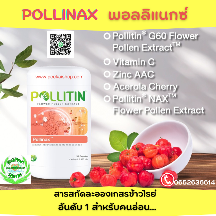 POLLINAX พอลลิแน็กซ์