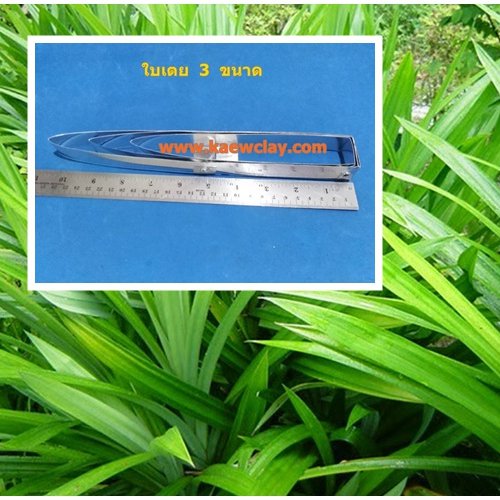 ใบเตย (Pandan Leaves)