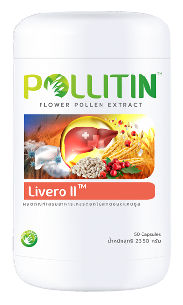 Livero ll (ลิเวอร์โร่ทู)