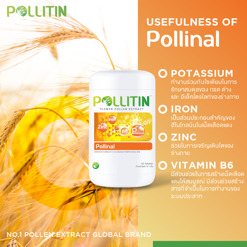 พอลลินอล (สีส้ม) Pollinal พอลลิติน Pollitin เซอร์นิติน