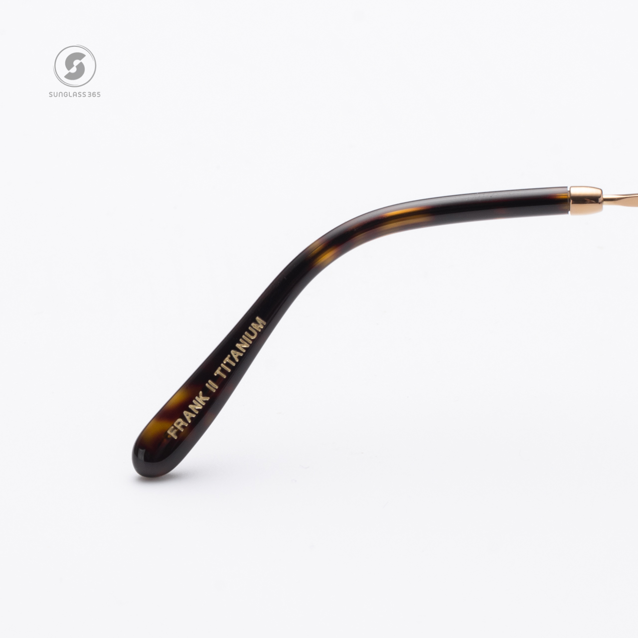 RayBan RB8258 313852 Frank ll Titanium Gold