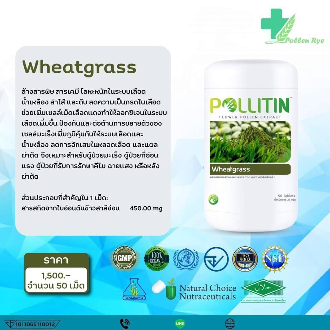 wheatgrass วีทกราส อุดมไปด้วยวิตามินซี และวิตามินอี ซึ่งเป็นสารต้านอนุมูนอิสระที่ดีที่สุดต่าร่างกาย ซึ่งจะสามารถปกป้องเซลล์ร่างกายจากการถูกทำลายจากสารอนุมูลอิสระ,