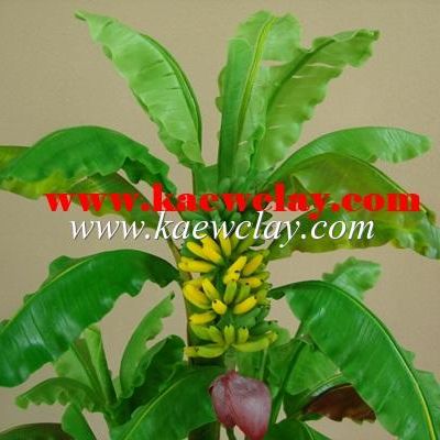 DVD สอนทำต้นกล้วย หรือ Link Online (DVD How to make Banana Tree with KAEWCLAY)