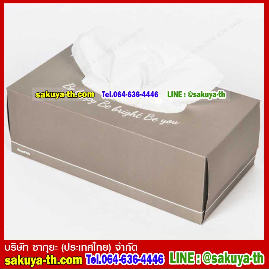 กระดาษเช็ดหน้า RiverPro Facial Tissue 170 Sheets