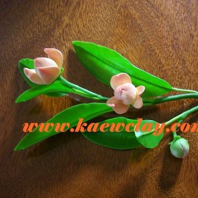 พิมพ์ตัดอลูมิเนียมดอกลำดวน+ใบ(Aluminum mold cutter Lamdman flower+ Leaf)