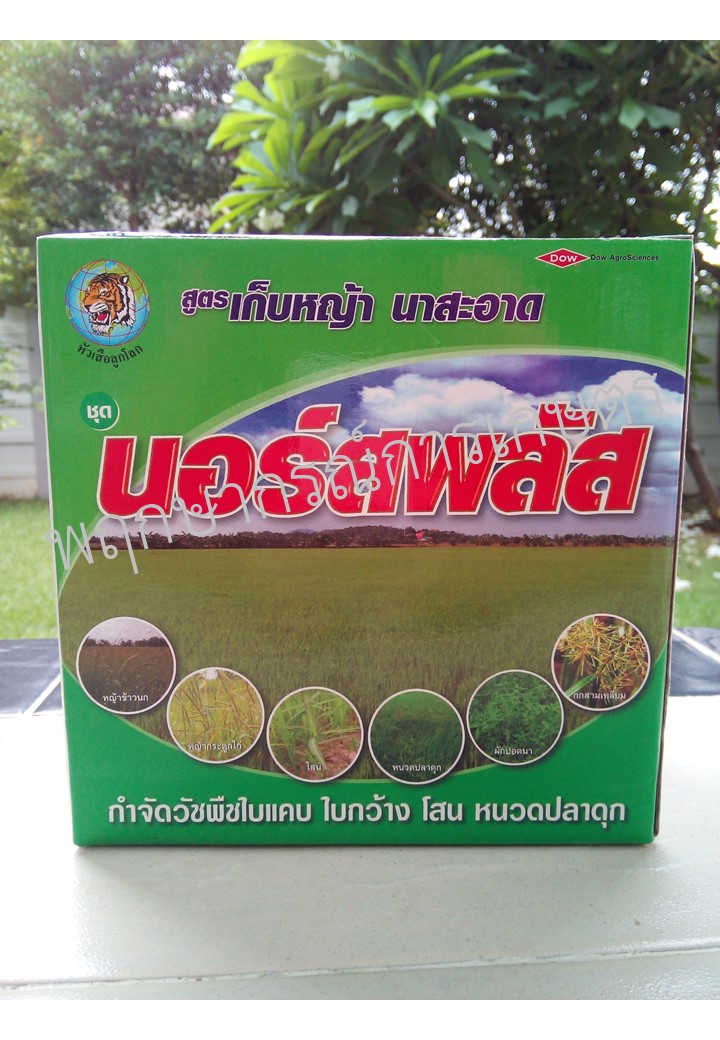 นอร์สพลัส