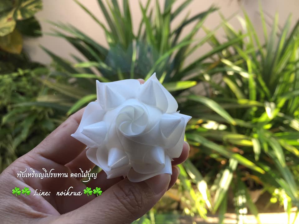 ดอกบัวดินสีขาวดำ เหรียญโปรยทาน