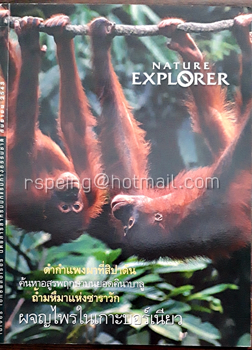 Nature Explorer Vol.9 / September 2000