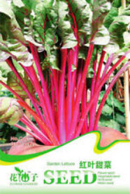 สลัดผักกาดแดง (Red Leaf Lettuce) / ซอง 30 เม็ด