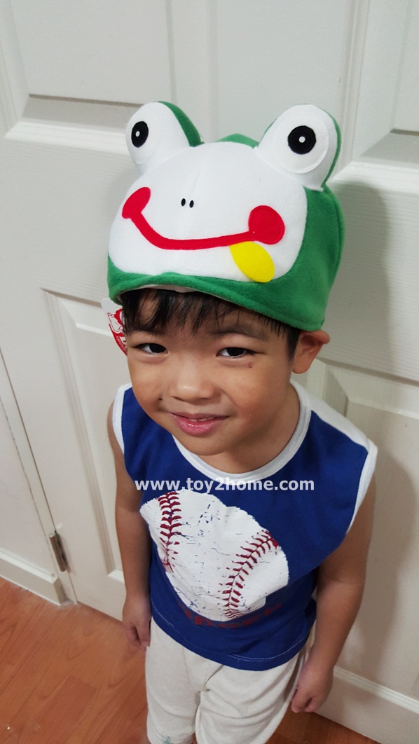 หมวกแฟนซีรูปกบ