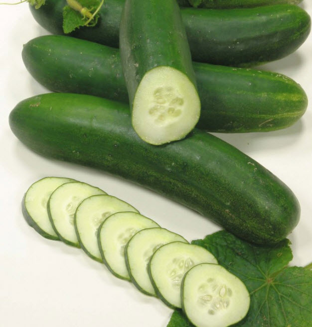 แตงกวา Cucumber Jogger F1 / 30 เม็ด (UK)