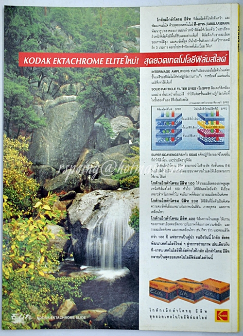 คาเมราร์ต ฉบับที่ 26/2538