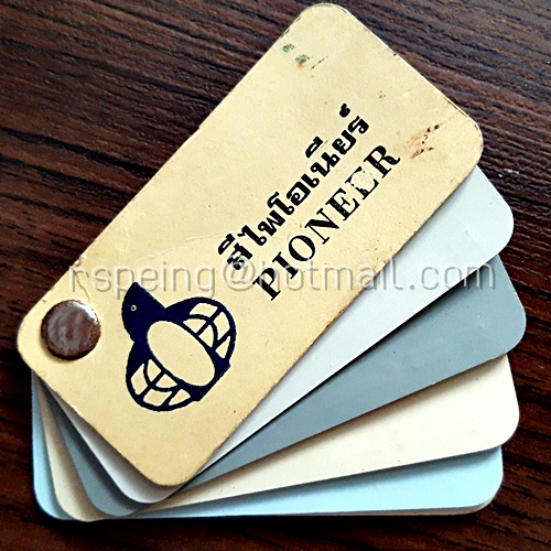 แคตตาล็อกตัวอย่างสี (ไม่ได้ขายสี) ไพโอเนียร์ Pioneer