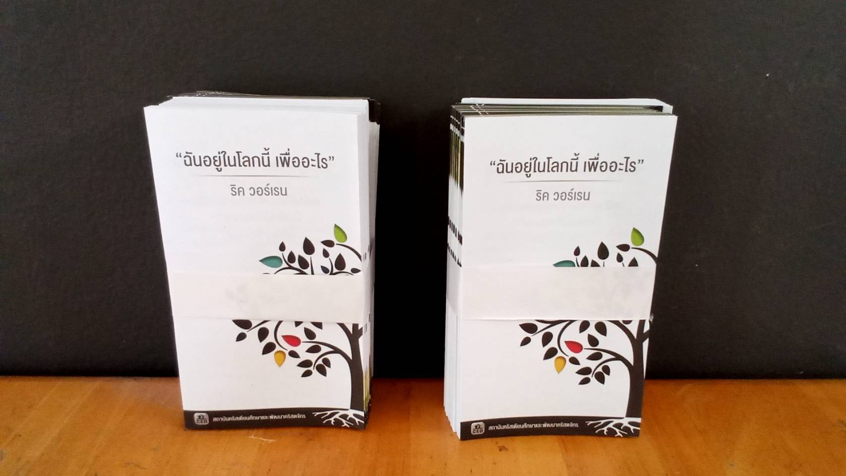 ใบปลิว ฉันอยู่ในโลกนี้เพื่ออะไร