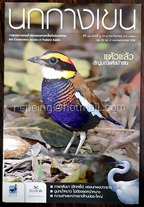นกกางเขน ปีที่ 25 ฉบับที่ 3 กรกฏาคม-กันยายน พ.ศ.2551