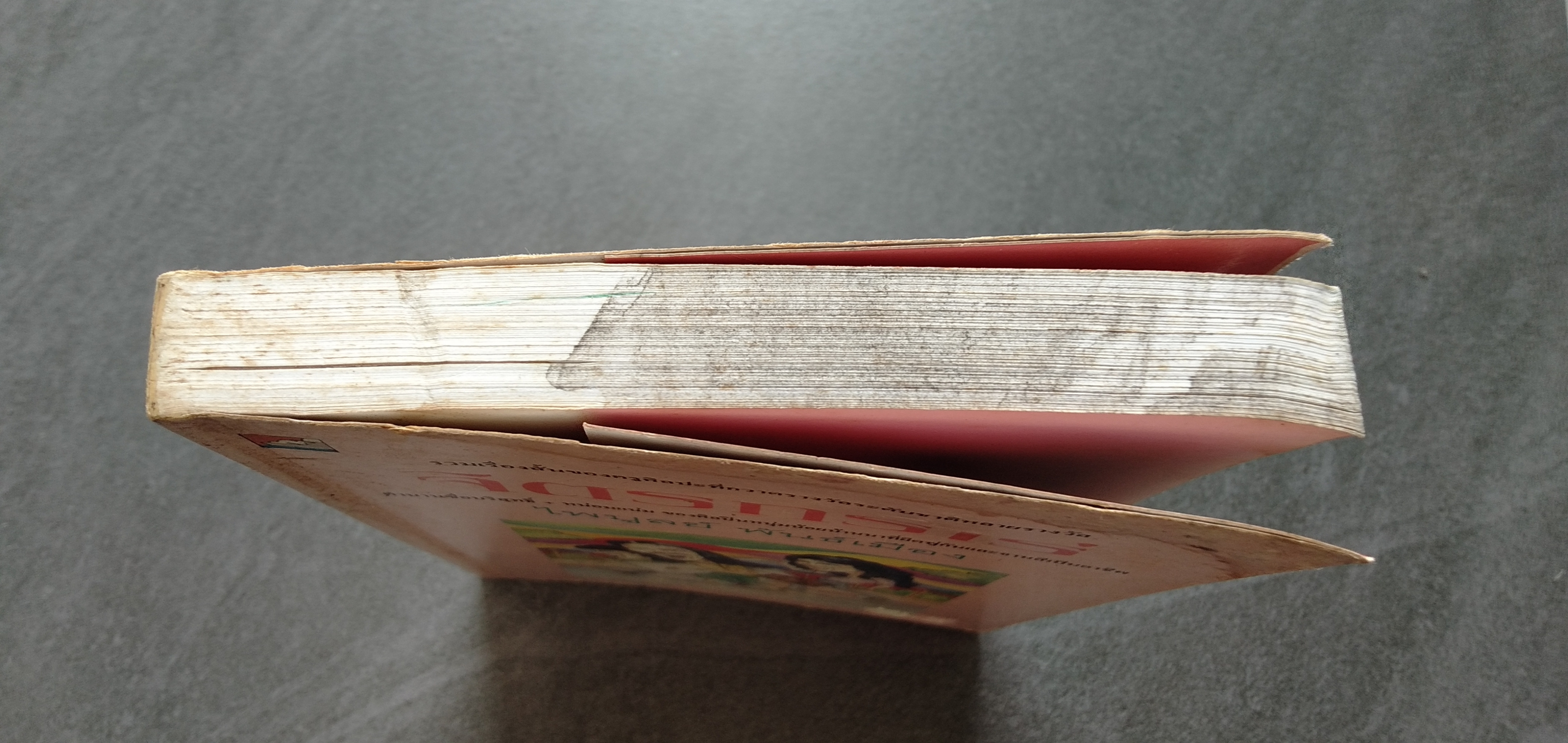 จิตรกรเร่ โดย ไพบูลย์ พันธ์เมือง