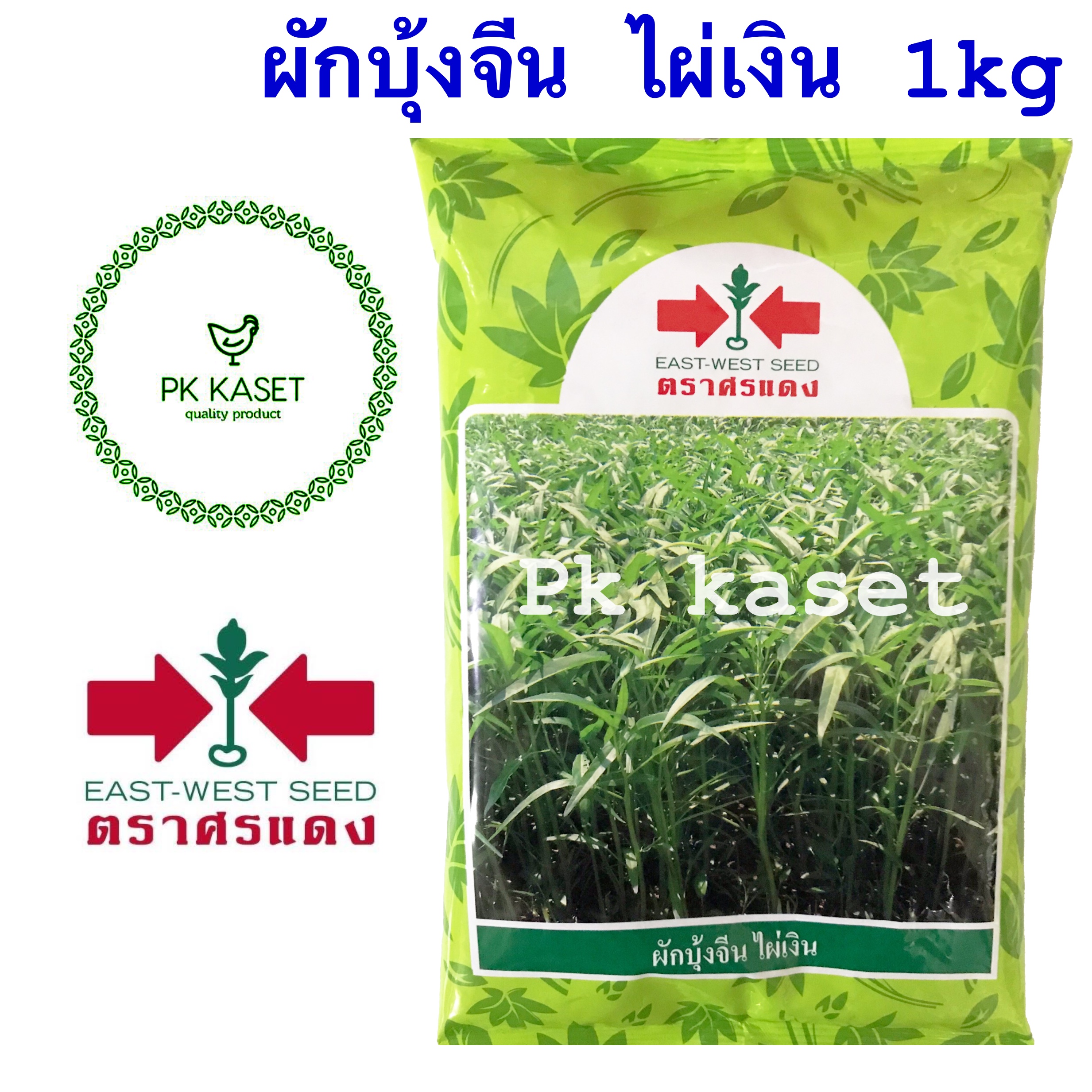 เมล็ดผักบุ้ง ไผ่เงิน ศรแดง 1 kg ผักบุ้ง ใบเรียวเล็ก สีเขียวสด ลำต้นตรง น้ำหนักดี ของใหม่