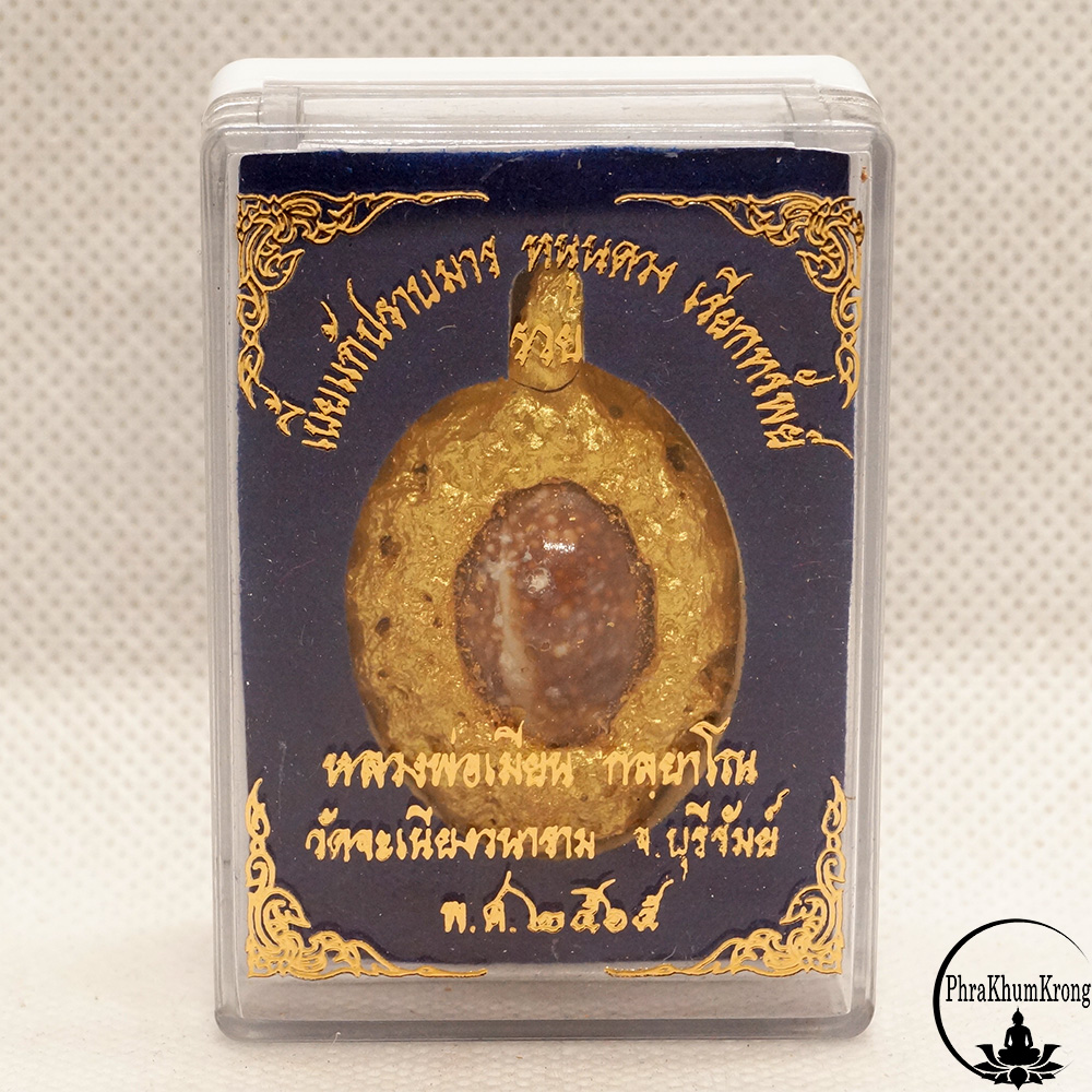 “เบี้ยแก้ปราบมาร หนุนดวง เรียกทรัพย์” หลวงพ่อเมียน กลฺยาโณ วัดจะเนียงวนาราม จ.บุรีรัมย์ สีทอง