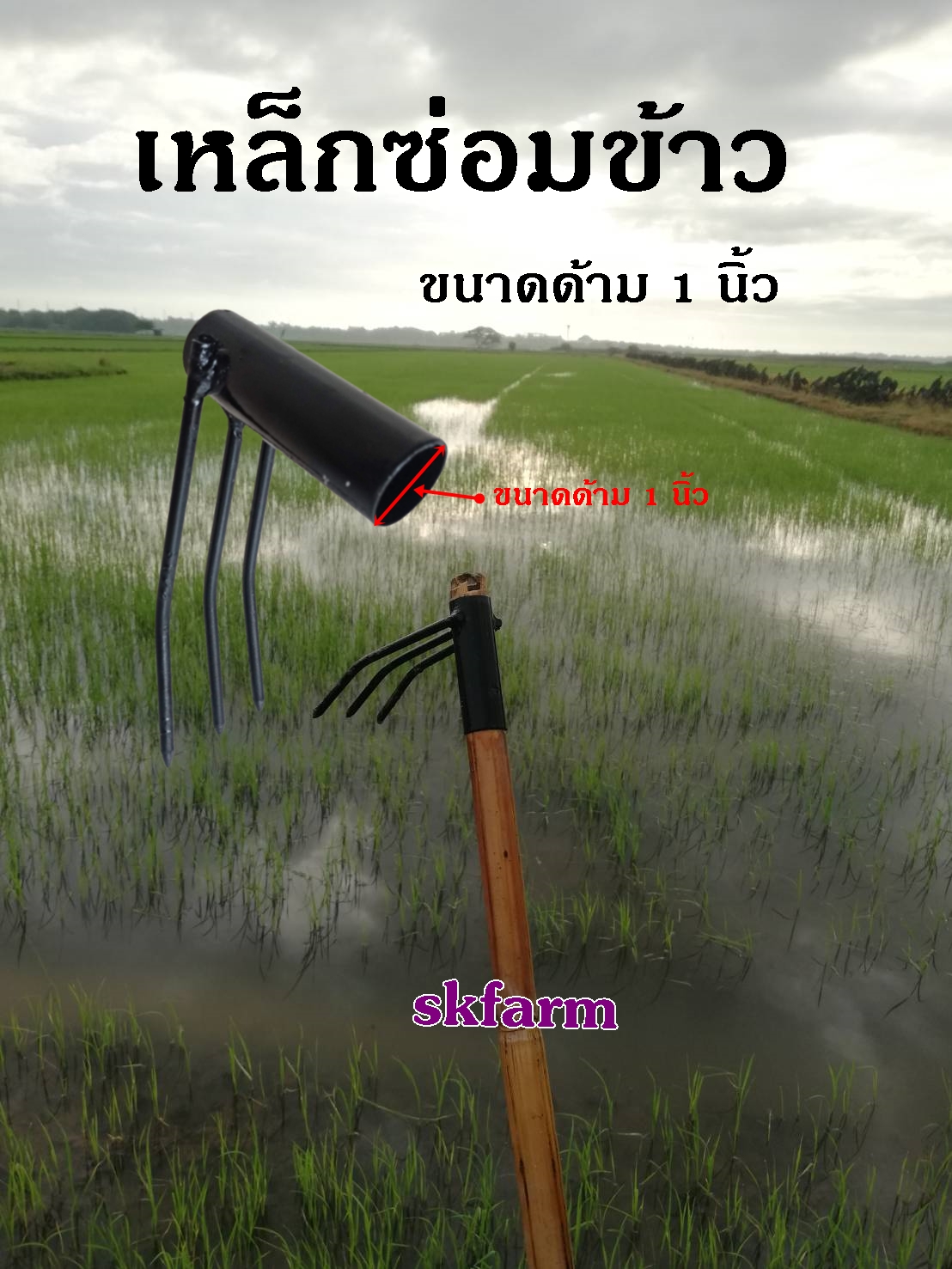 เหล็กซ่อมข้าว คราดย้ายข้าว แทนการปักดำไม่ปวดหลัง ขนาดด้าม6หุน