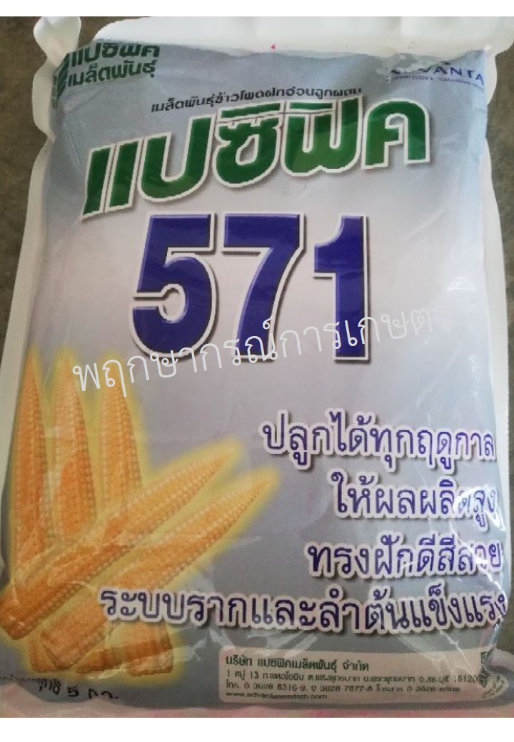 แปซิฟิก 571