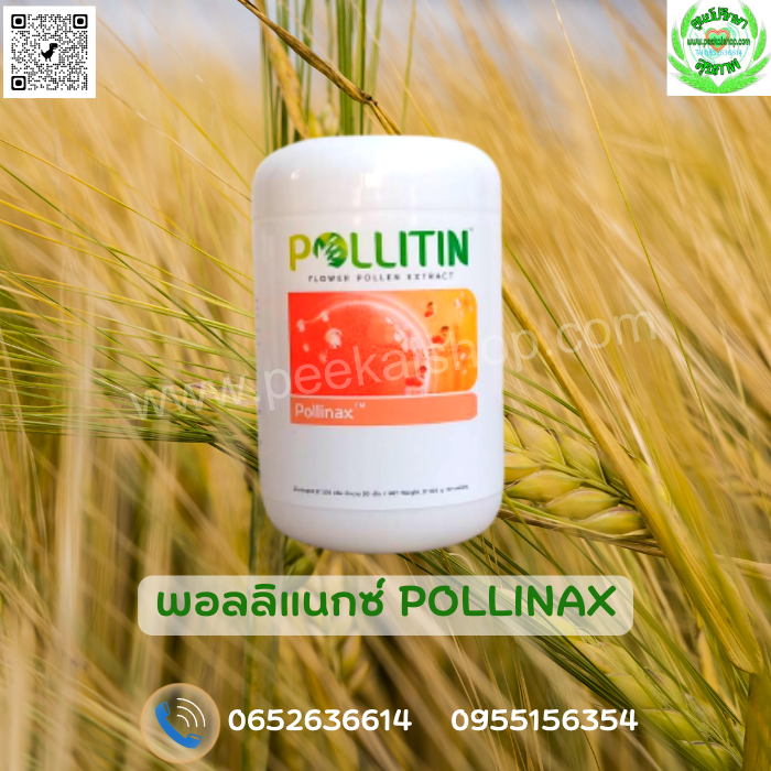 POLLINAX พอลลิแน็กซ์
