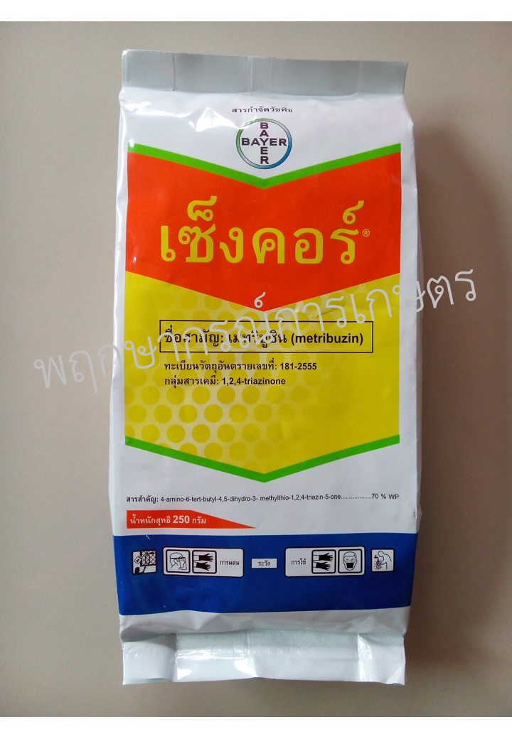 เซ็งคอร์