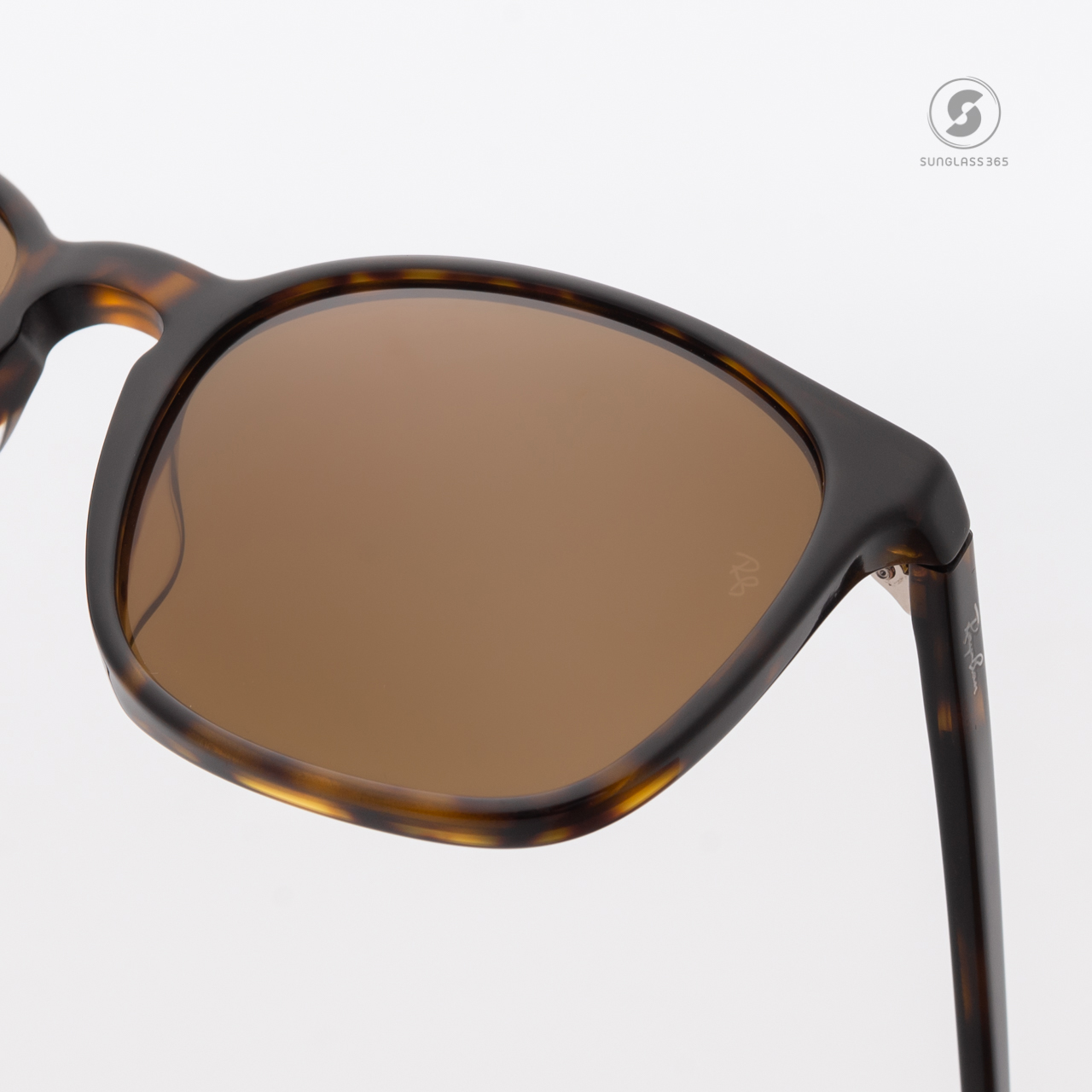 Ray Ban RB4387F 902/73 Havana Brown
