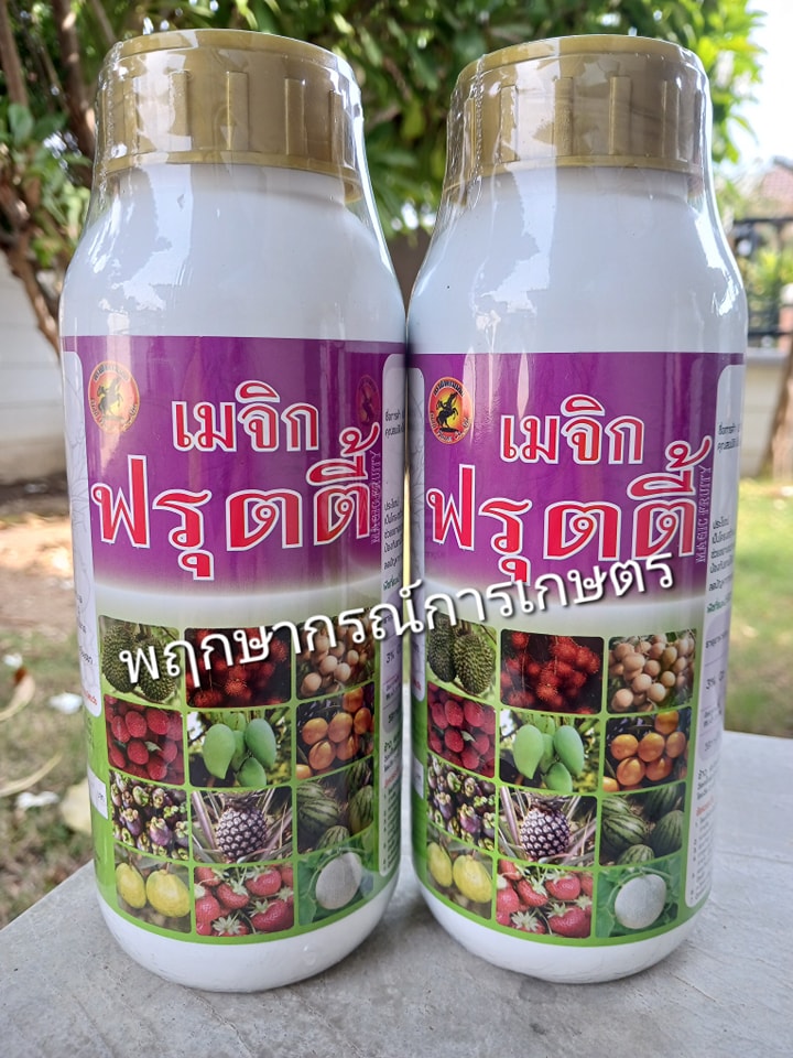 เมจิกฟรุ๊ตตี้ 500 ซีซี