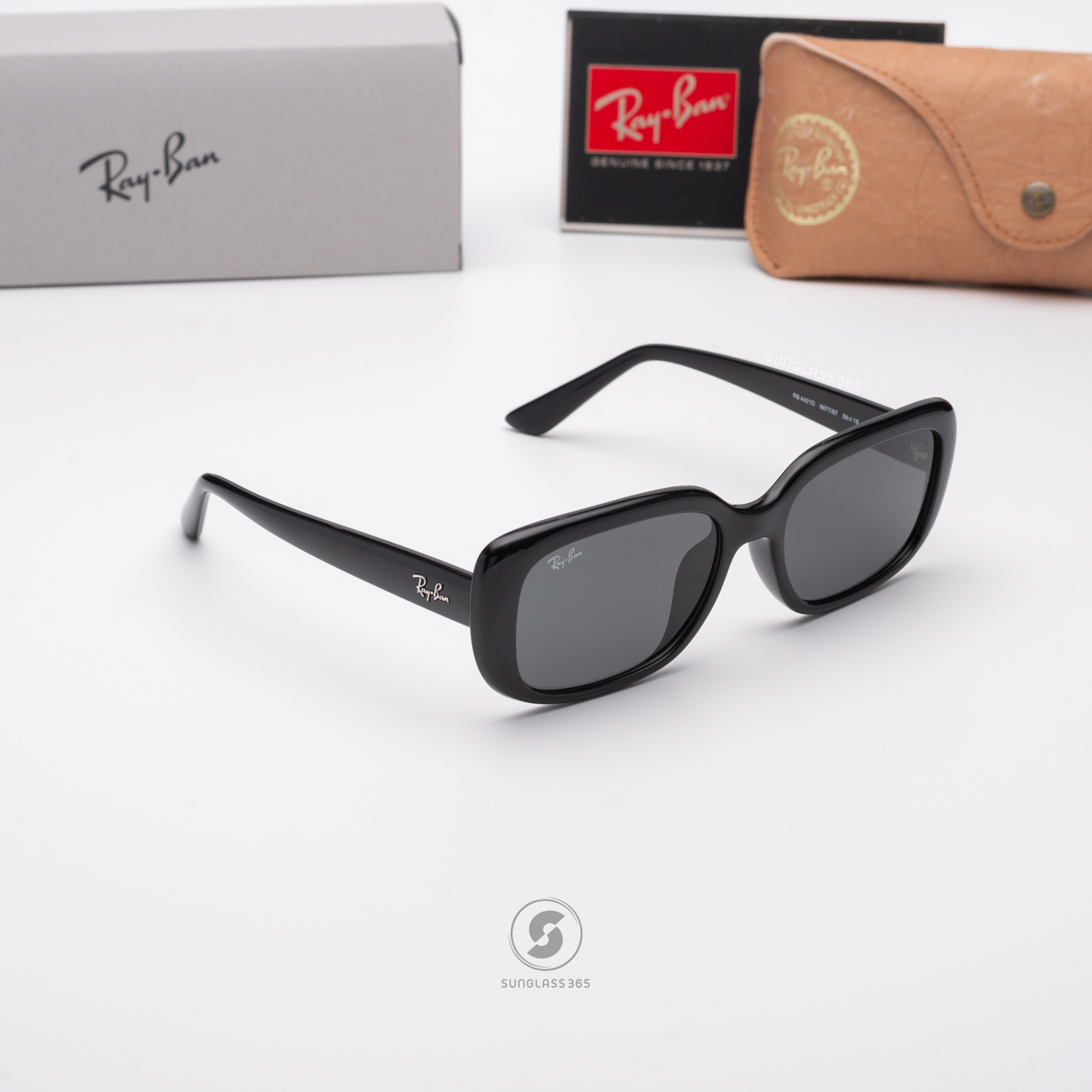 Ray-Ban RB4421D 667787 Black