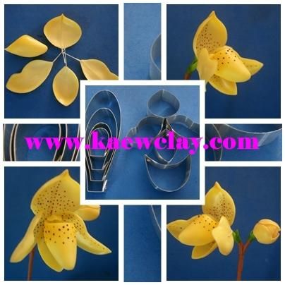 พิมพ์ตัดอก+ใบรองเท้านารีเหลืองปราจีน ( Aluminum mold cutter Paphiopedilum concolor)