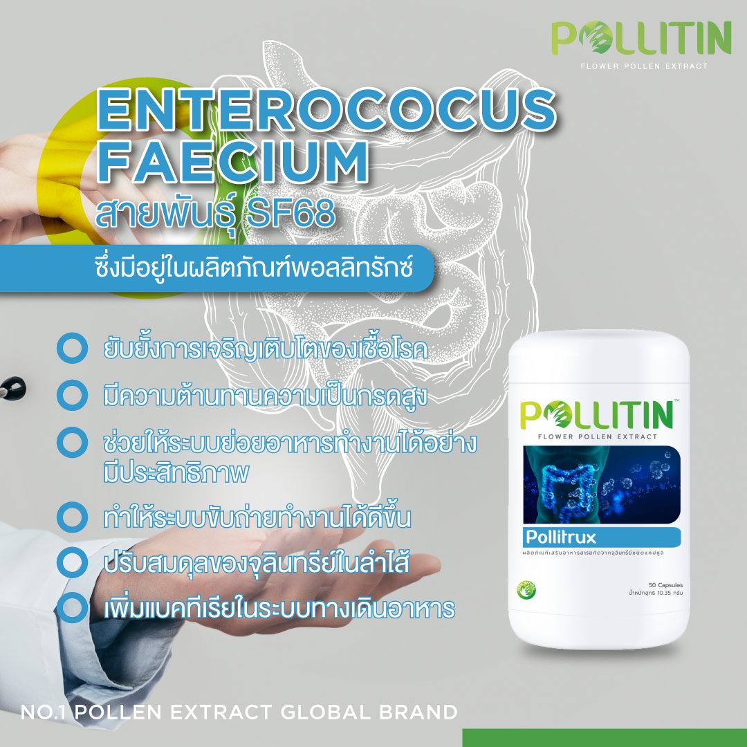 พอลลิทรักซ์ Pollitrux (สีฟ้า)